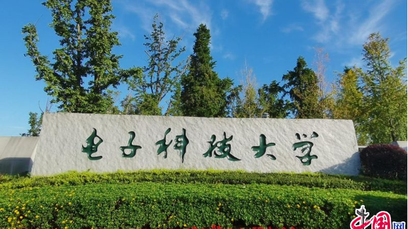 电子元件采购：如何规避常见陷阱**